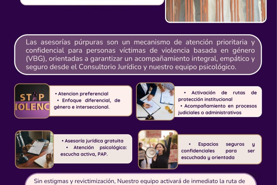 CONSULTORIO PÚRPURA UFPSO